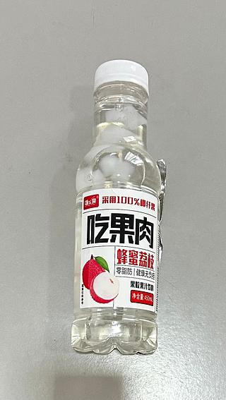 大果粒果肉果汁饮料 蜂蜜荔枝 450ML